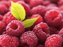 framboise